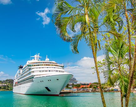 Kreuizfahrtschiff im HAfen von St. Lucia. Rechts im Bild Palmen 