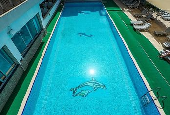 Hotel, Catty Cats Garden Hotel