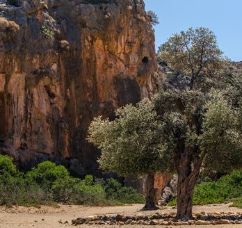 Blick auf die Schlucht vonAgiofarago 