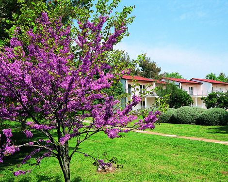 Ai Pini Medulin Resort-4