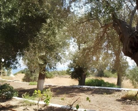 White Rock Apartments -1