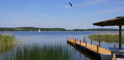 Blick auf einen See mit Steg