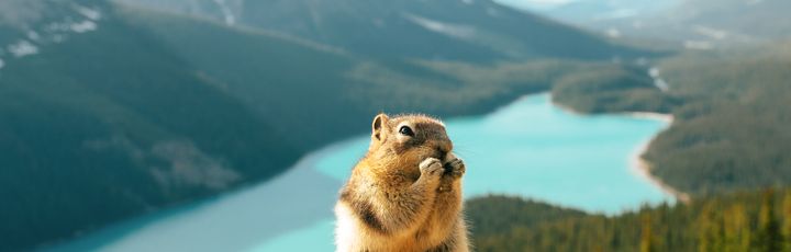 West Canada Rundreise