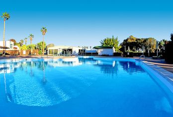 Hotel, Palmeras Garden