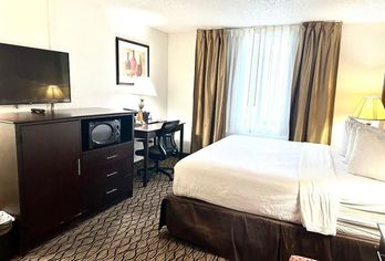 Hotel, Wyndham Garden Romulus Detroit Metro Airport