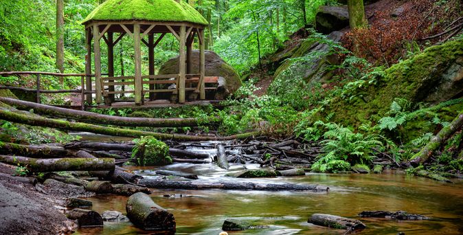 Eine idyllische Ansicht der Karlstalschlucht bei Kaiserslautern, die einen ruhigen Bach zeigt, der sich durch eine mit Bäumen und Felsen bewachsene Schlucht schlängelt.