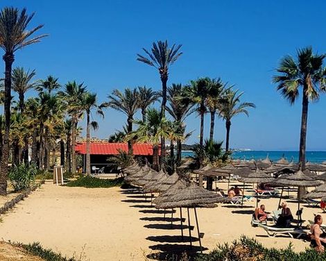 Riadh Palms Resort & Spa-3