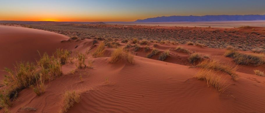 Sonnenuntergang Kahlahari Wüste