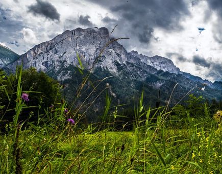 Nationalpark Gesäuse