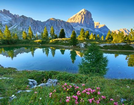 Ein typischer Bergsee, umgeben von grünen Wiesen mit bunten Blumen. Dahinter, in der Ferne, eine atemberaubende Bergkette bei blauem Himmel.