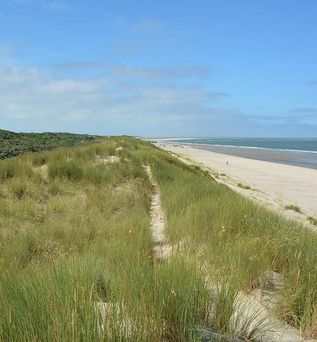 Fletcher Strandhotel Renesse