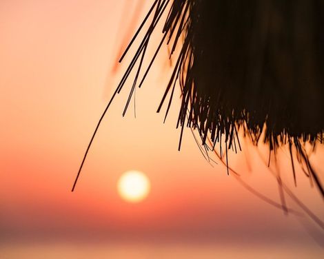 Sentido Reef Oasis Suakin-4