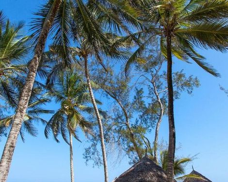 Turtle Bay Beach Club-1