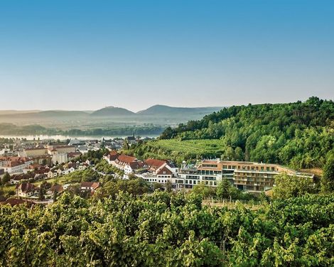 Steigenberger Hotel & Spa Krems-4