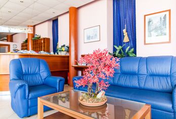 Hotel, Omorika Hotel Punat