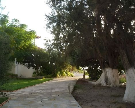 White Rock Apartments -2