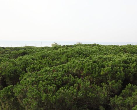 Eraclea Palace Hotel-1