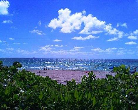 Holiday Inn Miami Beach Oceanfront-0