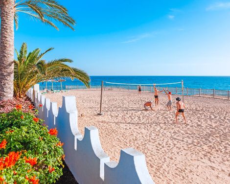 SBH Nautilus Beach-0