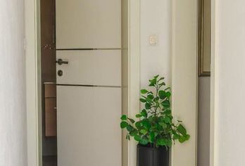 Hotel, Madonna Guest House
