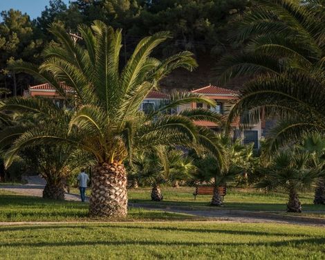 Alma Luxury Resort Hotel-3