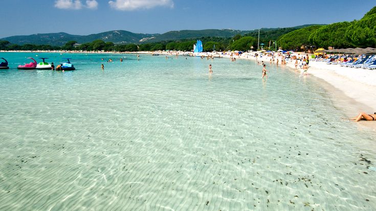 Ein weitläufiger Sandstrand mit türkisfarbenem Wasser und vielen Sonnenschirmen, die auf Strandliegen warten, unter einem klaren blauen Himmel.
