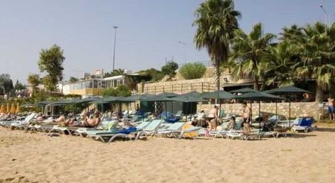 Arabella World 