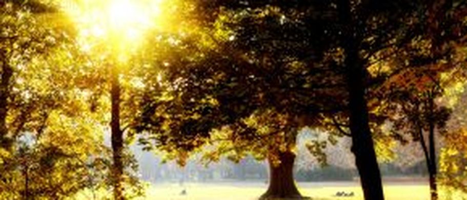 Beliebter Naherholungsraum: Der Park auf der Margareteninsel.