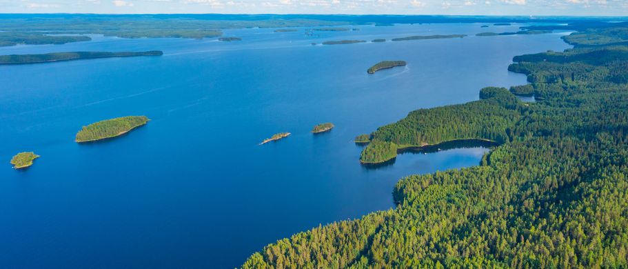 Panoramaaufnahme über dem Pielinen See im Koli National Park in Finnland