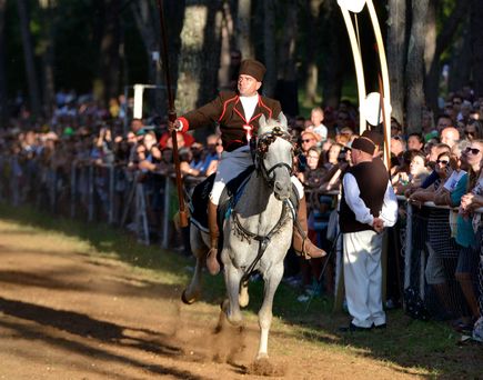 TRKA _NA_PRSTENAC Kroatischer Reiter