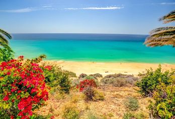 Hotel, SBH Hotel Club Paraiso Playa