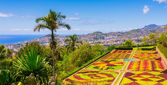 Ein botanischer Garten mit bunten Blumen und Palmen.