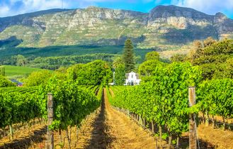 Auf Weinreise in Südafrika