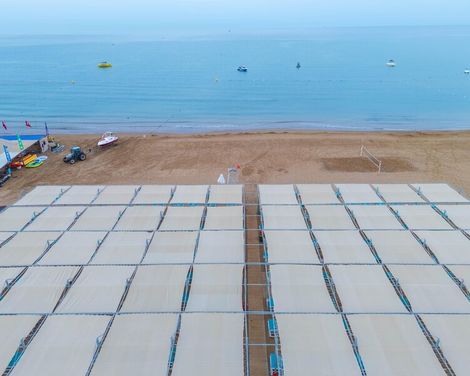 Dream World Palace-2