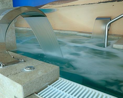 Fergus Cactus Garden-4