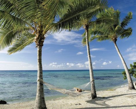 Tropical Deluxe Princess-0