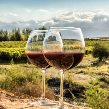 Ein Glas Rotwein steht auf einem Baumstamm mit Blick auf eine Weinlandschaft bei Sonnenuntergang.