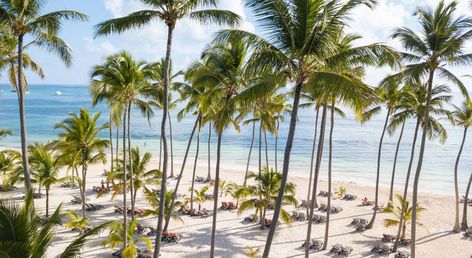 Barcelo Bavaro Palace