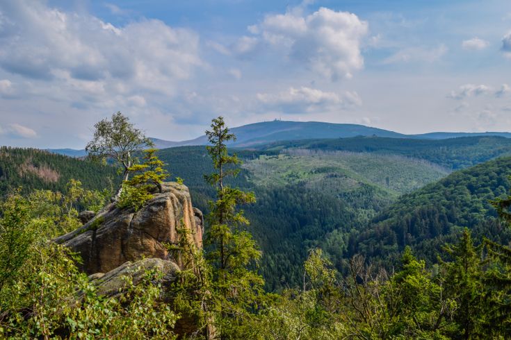 Rabenklippe Bad Harzburg Panorama