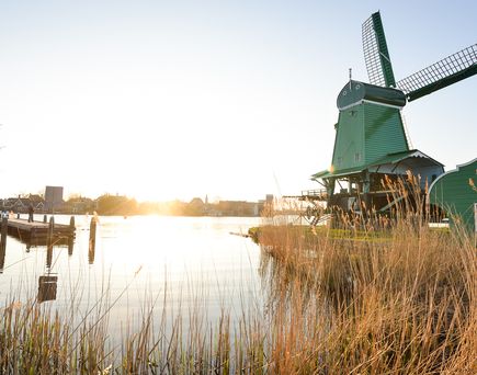 Eine Windmühle am Wasser, umgeben von Schilf.