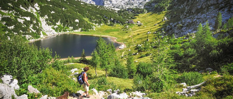 Familienurlaub Hund Österreich Frau und Hund wandern in den Alpen