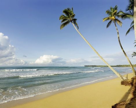 Viva V Samana by Wyndham, A Trademark Adults All Inclusive-1