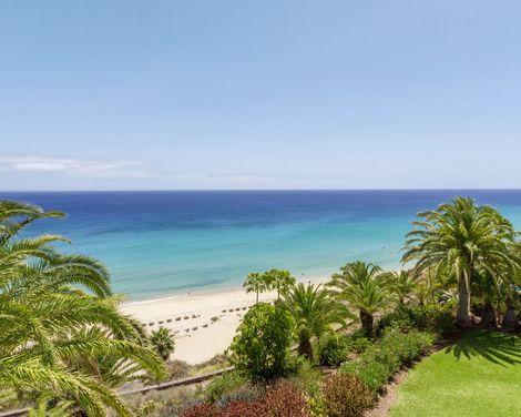 ROBINSON Esquinzo Playa-0