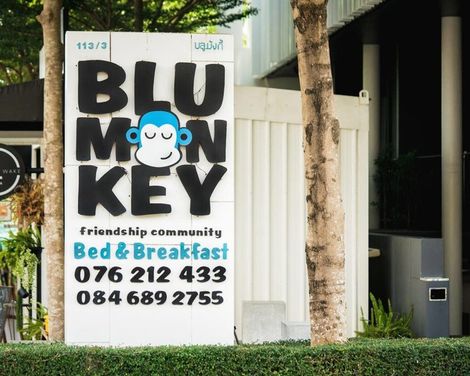 Blu Monkey Bed & Breakfast-1