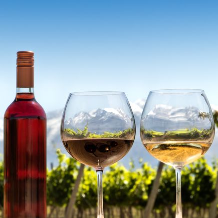 Die Winelands um Stellenbosch sind für ihre erstklassigen Weine berühmt