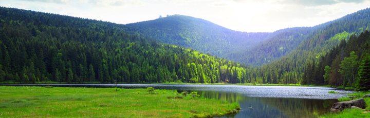 Kleiner Arbersee im Nationalpark Bayerischer Wald