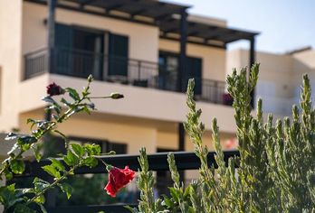 Hotel, Anastasia Hotel