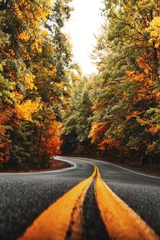 Indian Summer Straße durch Herbstwald