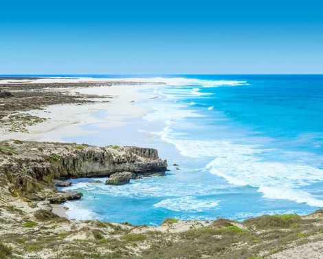 Occidental Boa Vista Beach-3