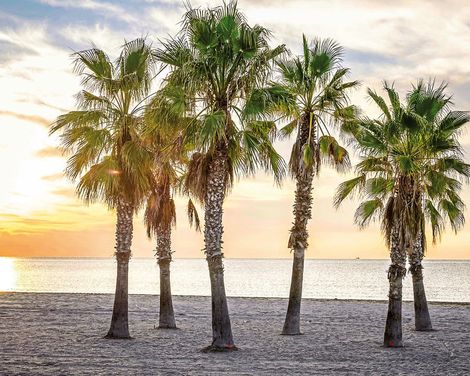 Estival Vendrell Platja-0